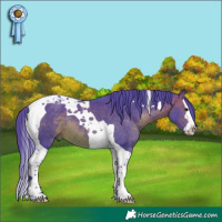 Horse Color:Watercolor Brown Splash Tobiano 
