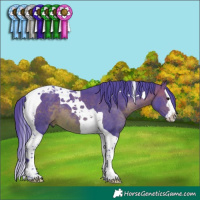 Horse Color:Watercolor Brown Splash Tobiano
