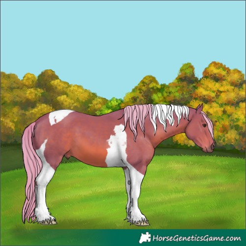 Horse Color:Watercolor Chestnut Tobiano 