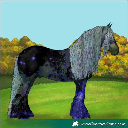 Horse Color:ERROR: UNKNOWN ANOMALY