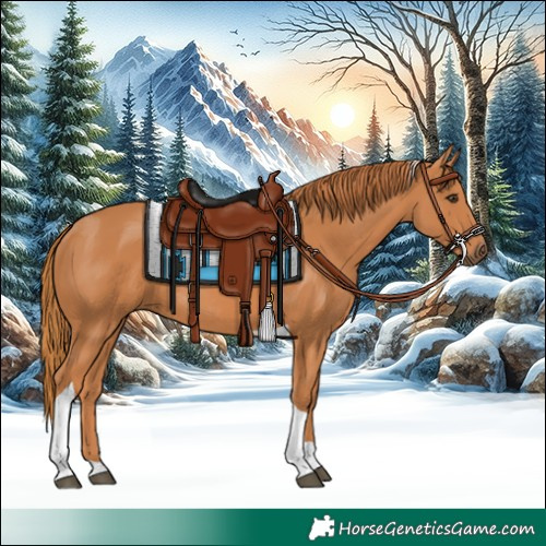 Horse Color:Chestnut Tobiano Rabicano 