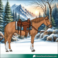 Horse Color:Chestnut Tobiano Rabicano