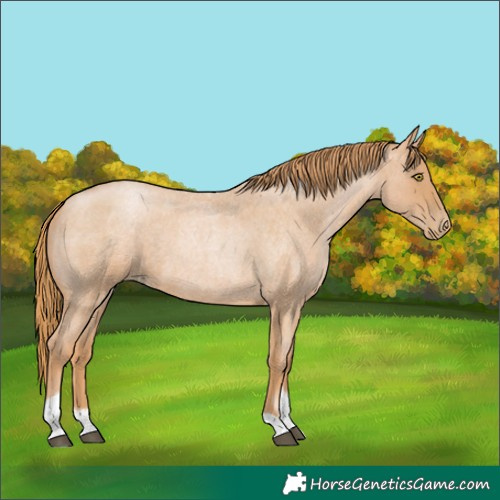 Horse Color:Red Roan Pearl Tobiano Frame 
