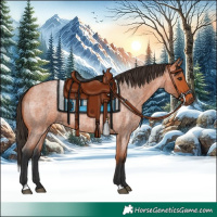 Horse Color:Bay Roan 