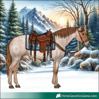 Horse Color:Red Roan 