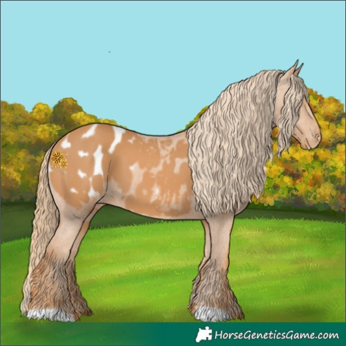 Horse Color:Chestnut Blanket 