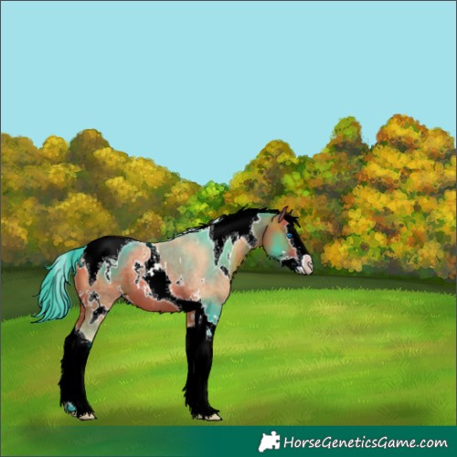 Horse Color:Watercolor White Spotted Bay Splash Tobiano 