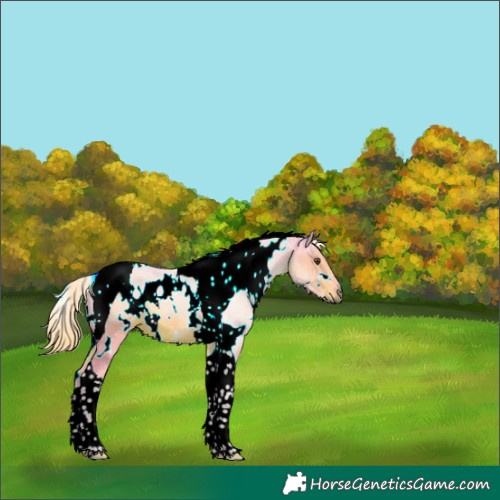 Horse Color:Watercolor White Spotted Liver Chestnut Tobiano 