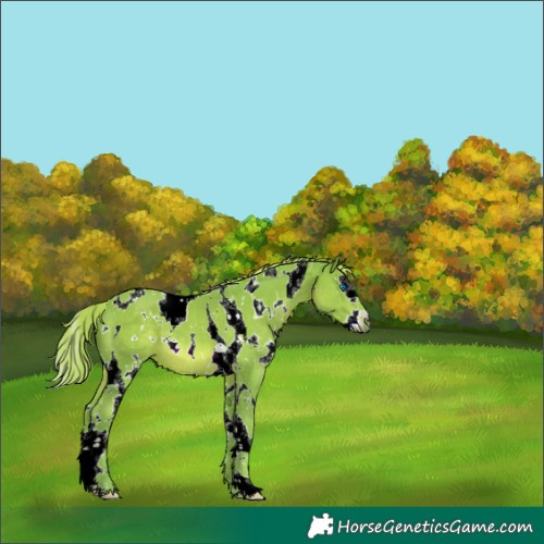 Horse Color:Watercolor White Spotted Chestnut Splash Tobiano 