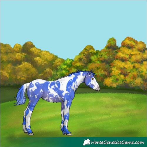 Horse Color:Watercolor White Spotted Bay Splash Tobiano 