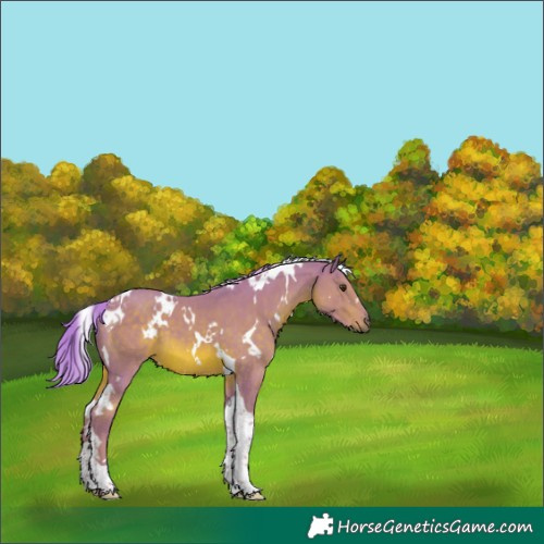 Horse Color:Watercolor White Spotted Chestnut Tobiano 
