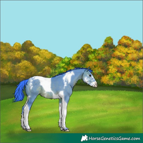 Horse Color:Watercolor Brown Dun Sabino Tobiano 