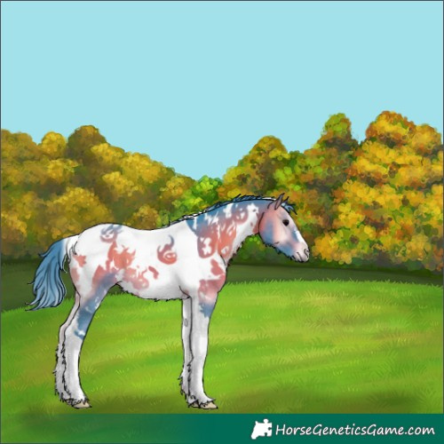 Horse Color:Watercolor White Spotted Brown Onyx Tobiano 