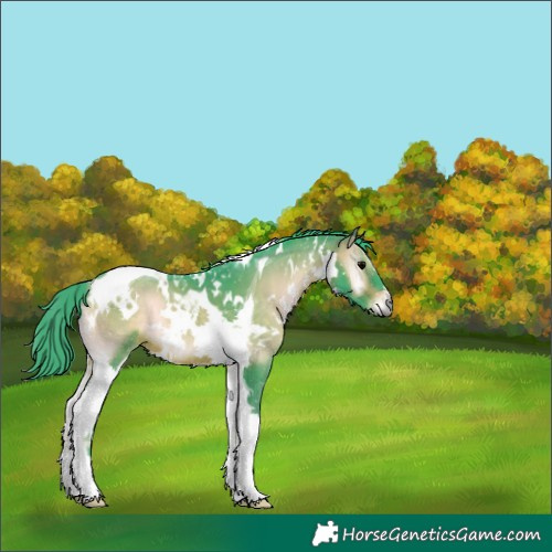 Horse Color:Watercolor White Spotted Bay Onyx Tobiano 