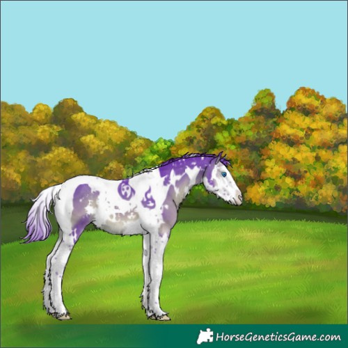 Horse Color:Watercolor White Spotted Brown Onyx Splash Tobiano 