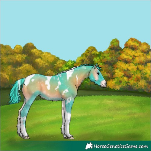 Horse Color:Watercolor White Spotted Blue Onyx Tobiano 