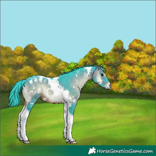 Horse Color:Watercolor White Spotted Brown Onyx Tobiano 