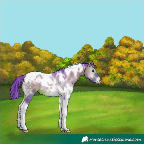 Horse Color:Watercolor White Spotted Brown Onyx Tobiano 