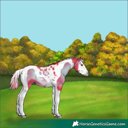 Horse Color:Watercolor Liver Red Onyx Splash Tobiano 