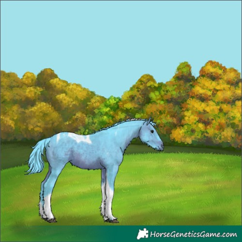 Horse Color:Watercolor Brown Tobiano 