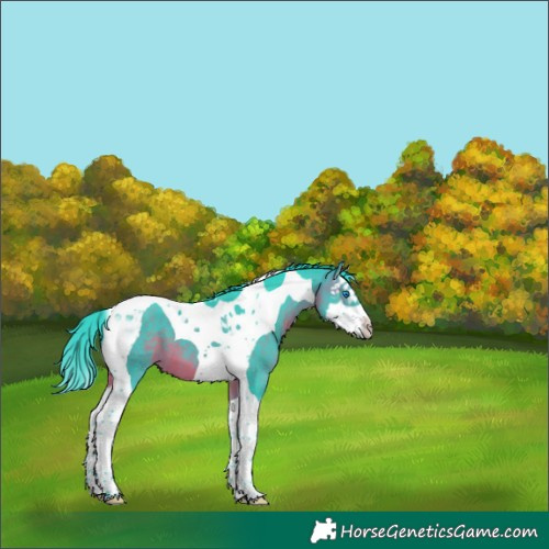 Horse Color:Watercolor Brown Splash Tobiano 