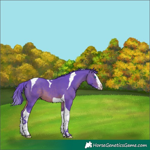 Horse Color:Watercolor Brown Splash Tobiano 