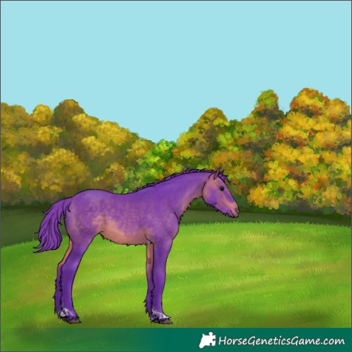 Horse Color:Watercolor Brown Tobiano 