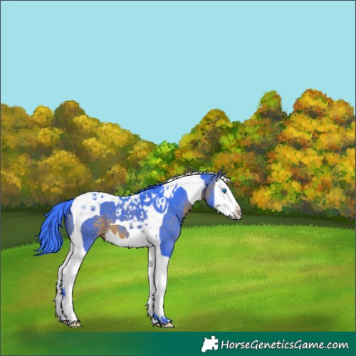 Horse Color:Watercolor Brown Splash Tobiano 