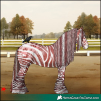Horse Color:Bay Blanket 