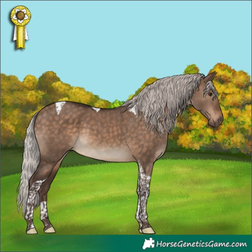Horse Color:Silver Brown Dun Tobiano 