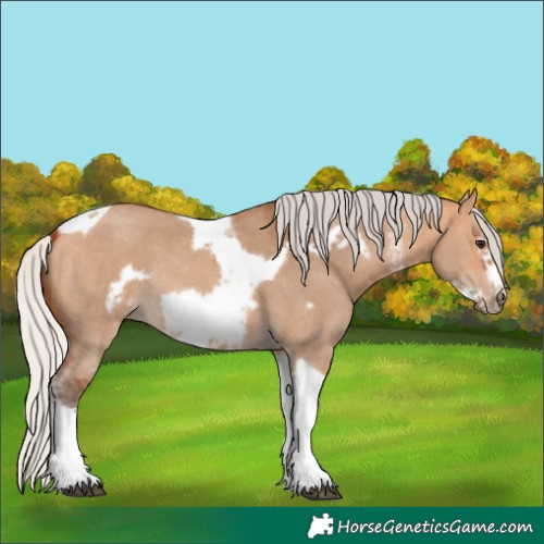 Horse Color:Silver Bay Dun Sabino Tobiano Frame Rabicano