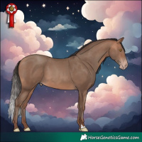 Horse Color:Amber Champagne