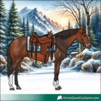 Horse Color:Bay Tobiano Rabicano 