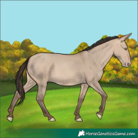Horse Color:Amber Champagne Dun 