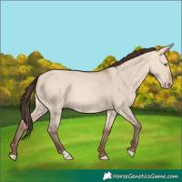 Horse Color:Amber Champagne Dun 