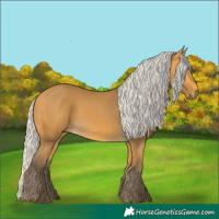 Horse Color:Silver Buckskin 