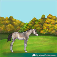 Horse Color:Bay Ice Onyx