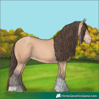 Horse Color:Amber Champagne Tobiano 
