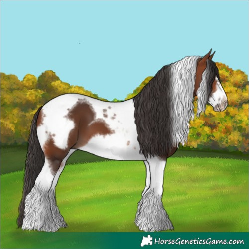 Horse Color:Bay Tobiano Frame 