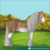 Horse Color:White Spotted Silver Buckskin 