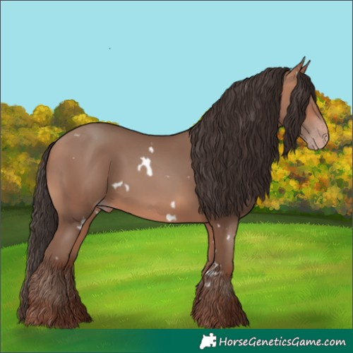Horse Color:White Spotted Amber Champagne 