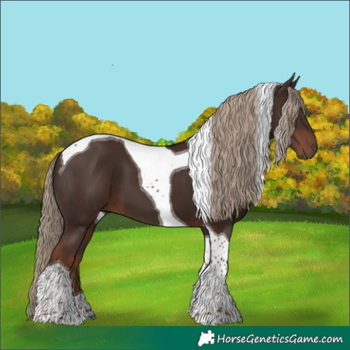 Horse Color:Liver Chestnut Tobiano 