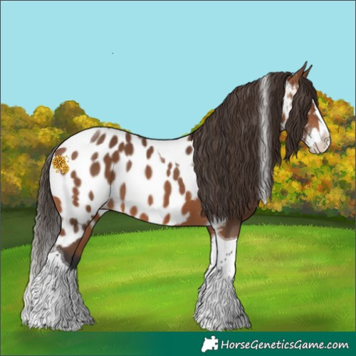 Horse Color:Bay Splash Tobiano Skewed LP Spotted 