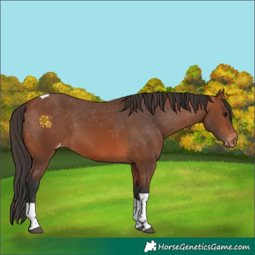 Horse Color:Bay Tobiano Skewed LP Spotted 