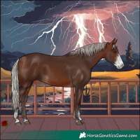 Horse Color:Silver Brown Sabino