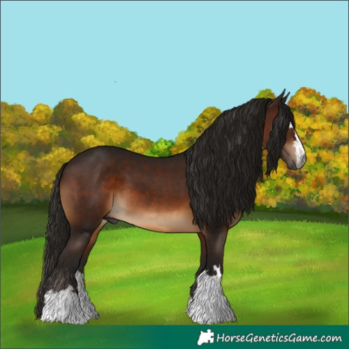 Horse Color:Gray Bay