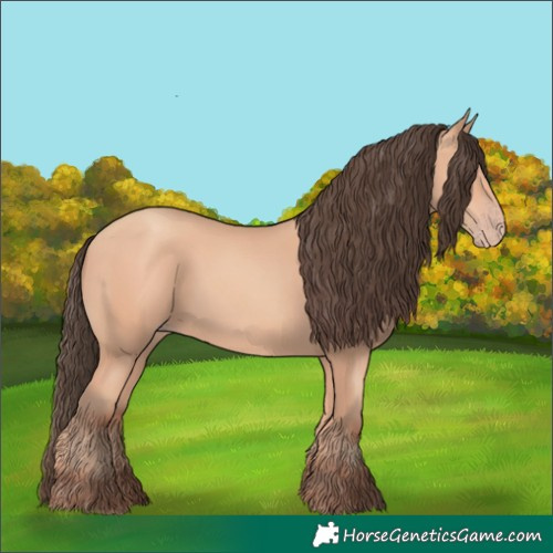 Horse Color:Amber Champagne