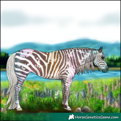 Horse Color:White Spotted Silver Black 