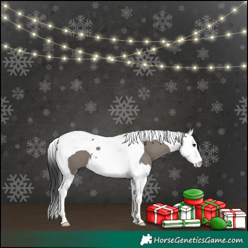 Horse Color:Grullo Splash Tobiano 