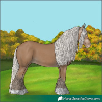 Horse Color:Gray Silver Smoky Creme 